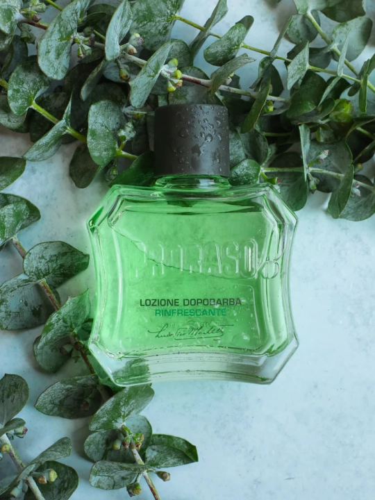 Proraso лосьон после бритья Refreshing and Toning, 100 мл - 400470