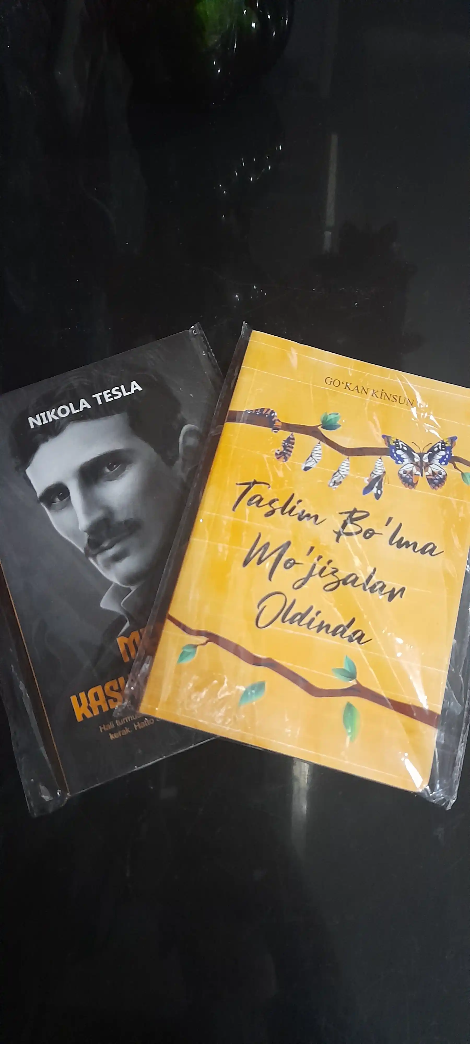 Никола Тесла-Менинг кашфиётларим, 112 стр, мягкая обложка