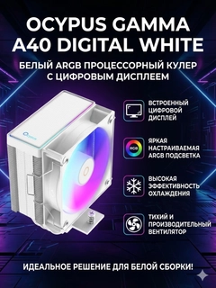 Белый
