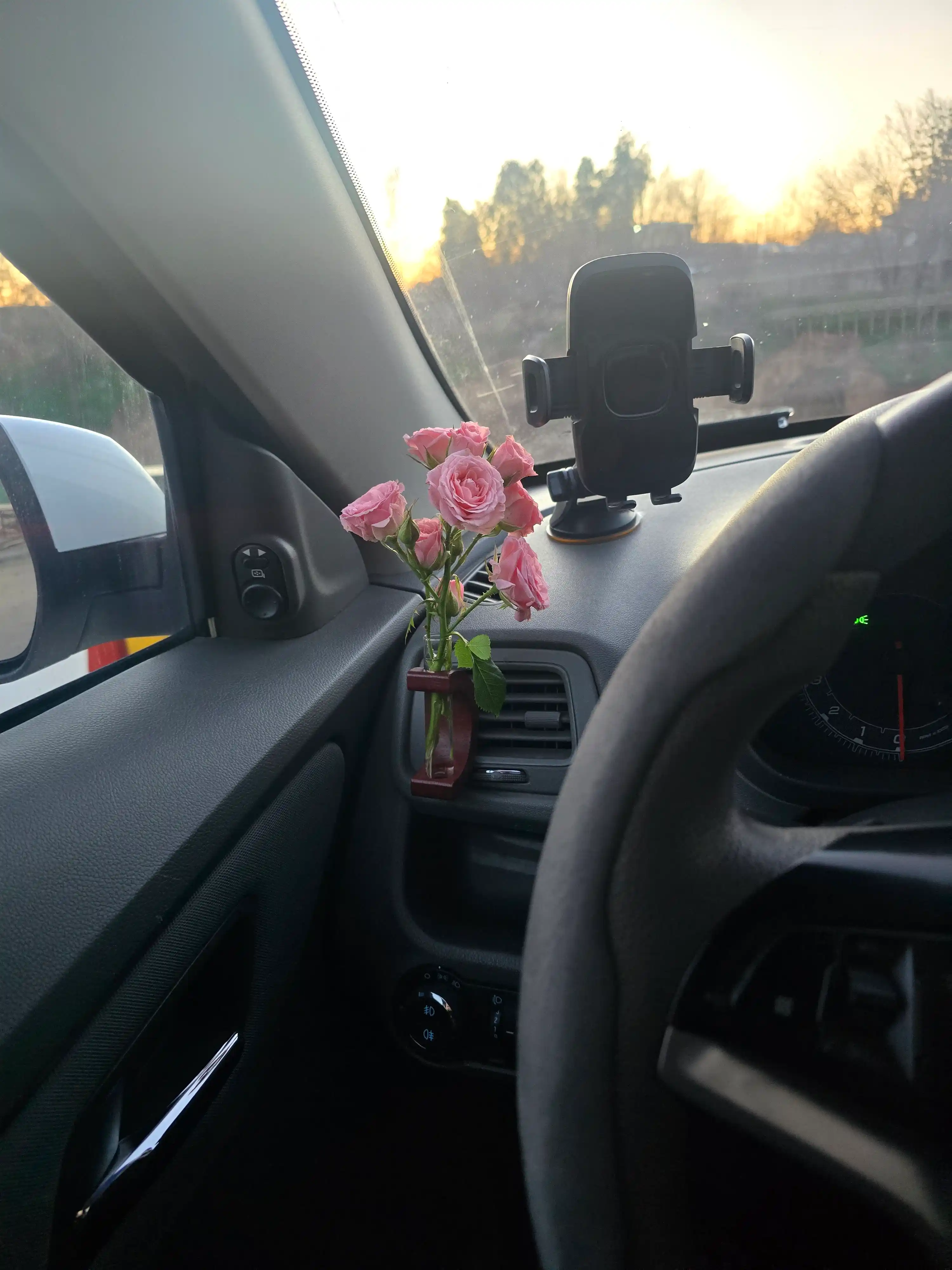 Ваза для цветов в салон автомобиля – стиль и настроение