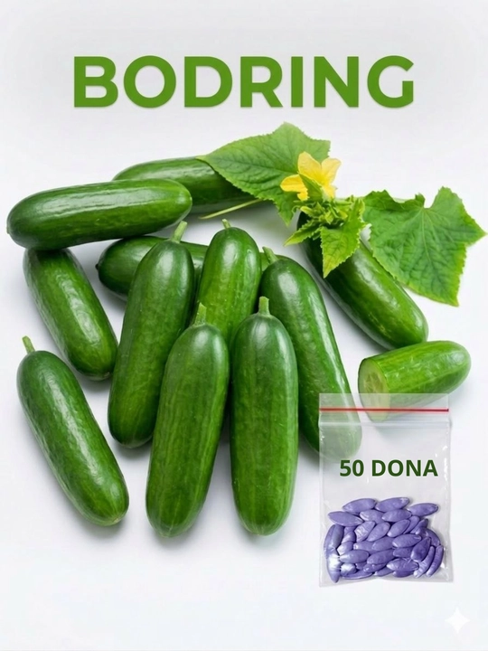 Qovun, handalak, bodring urug'lari