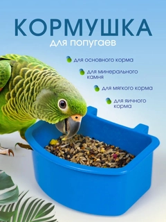 Голубой