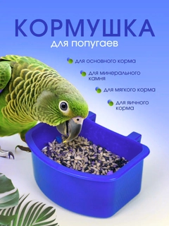 Синий