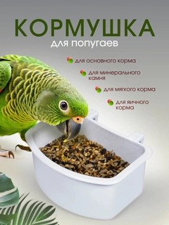 Белый