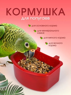 Красный