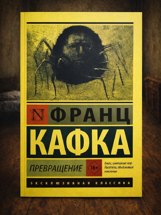 Metamorfoz, Frans Kafka - 