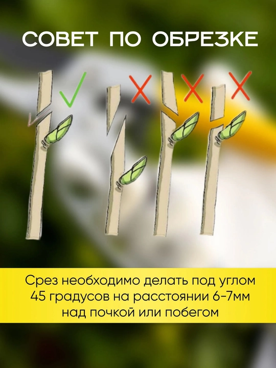 Садовые секаторы, садовые ножницы и ручные инструменты