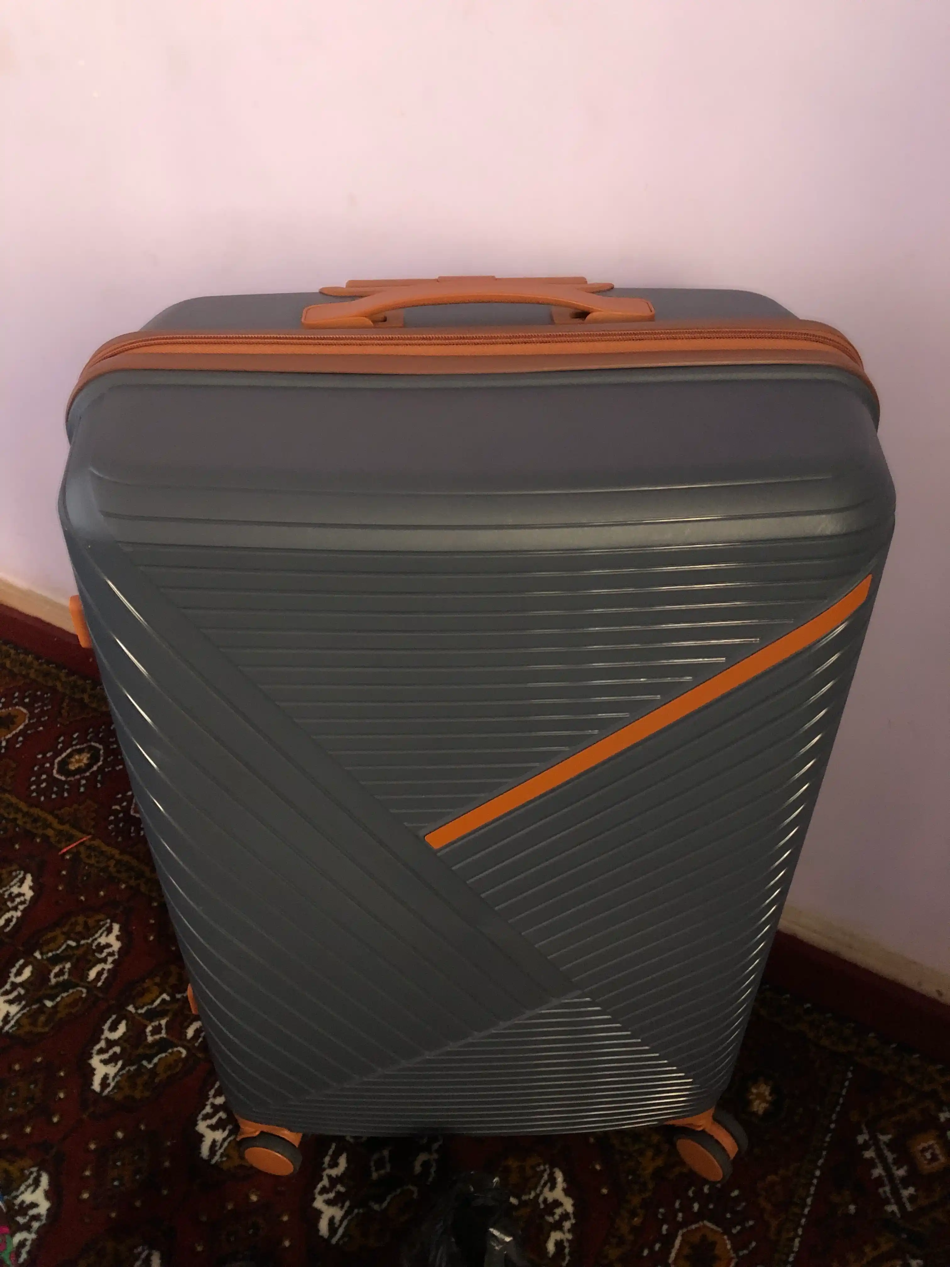 Прочные чемоданы для путешествий GoSafar