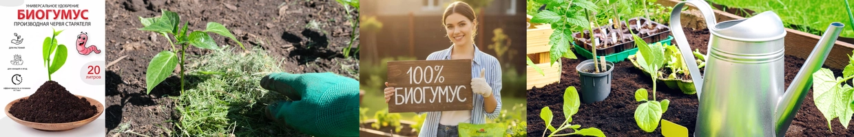 BIOGUMU.uz – o‘simliklaringiz uchun tabiiy va samarali o‘g‘itlar! — натуральные и эффективные удобрения для ваших растений!