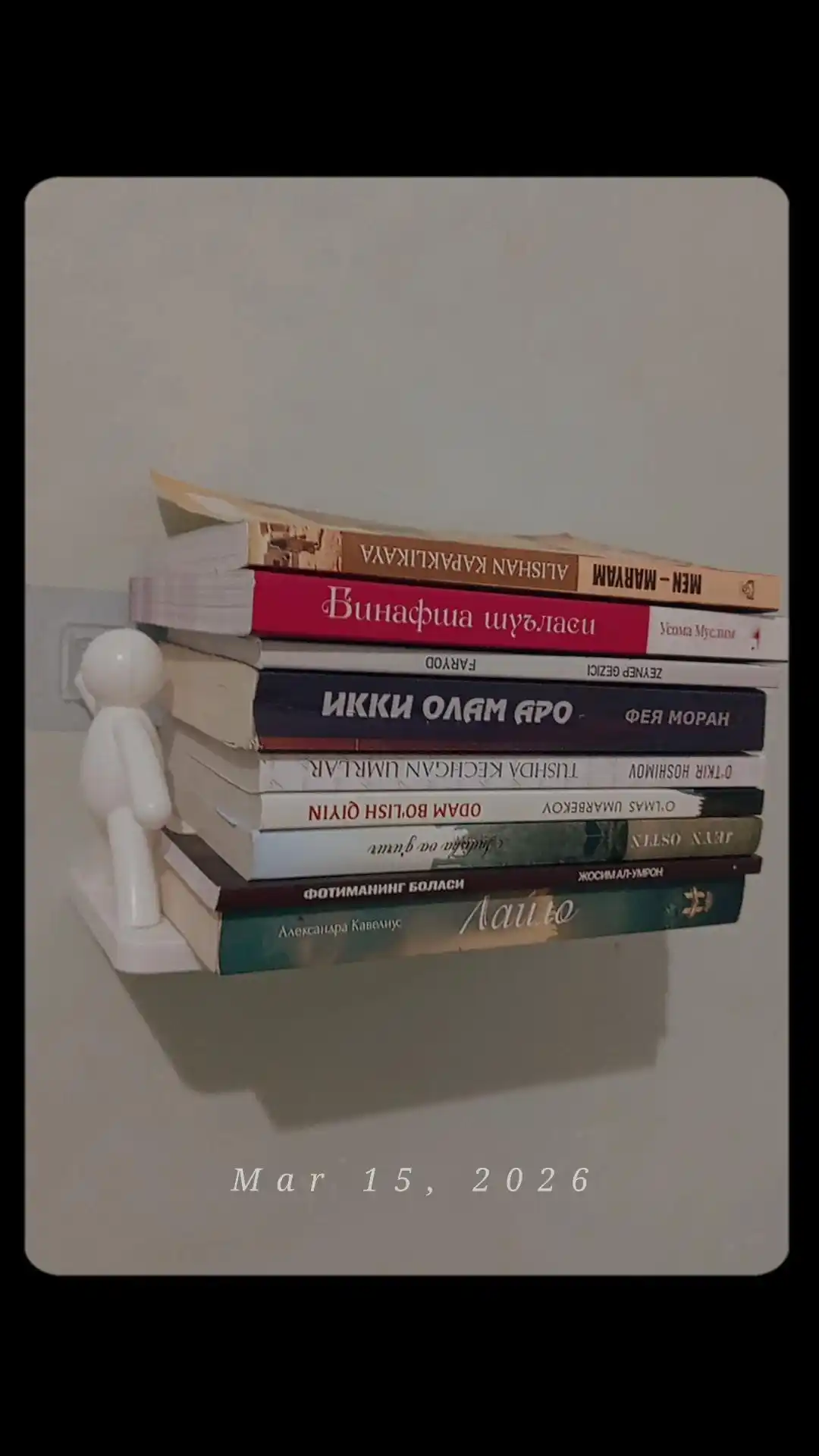 Vannaxona, oshxona va dahliz uchun odamchalar bilan jihozlangan Friends javonining osma devor organayzeri