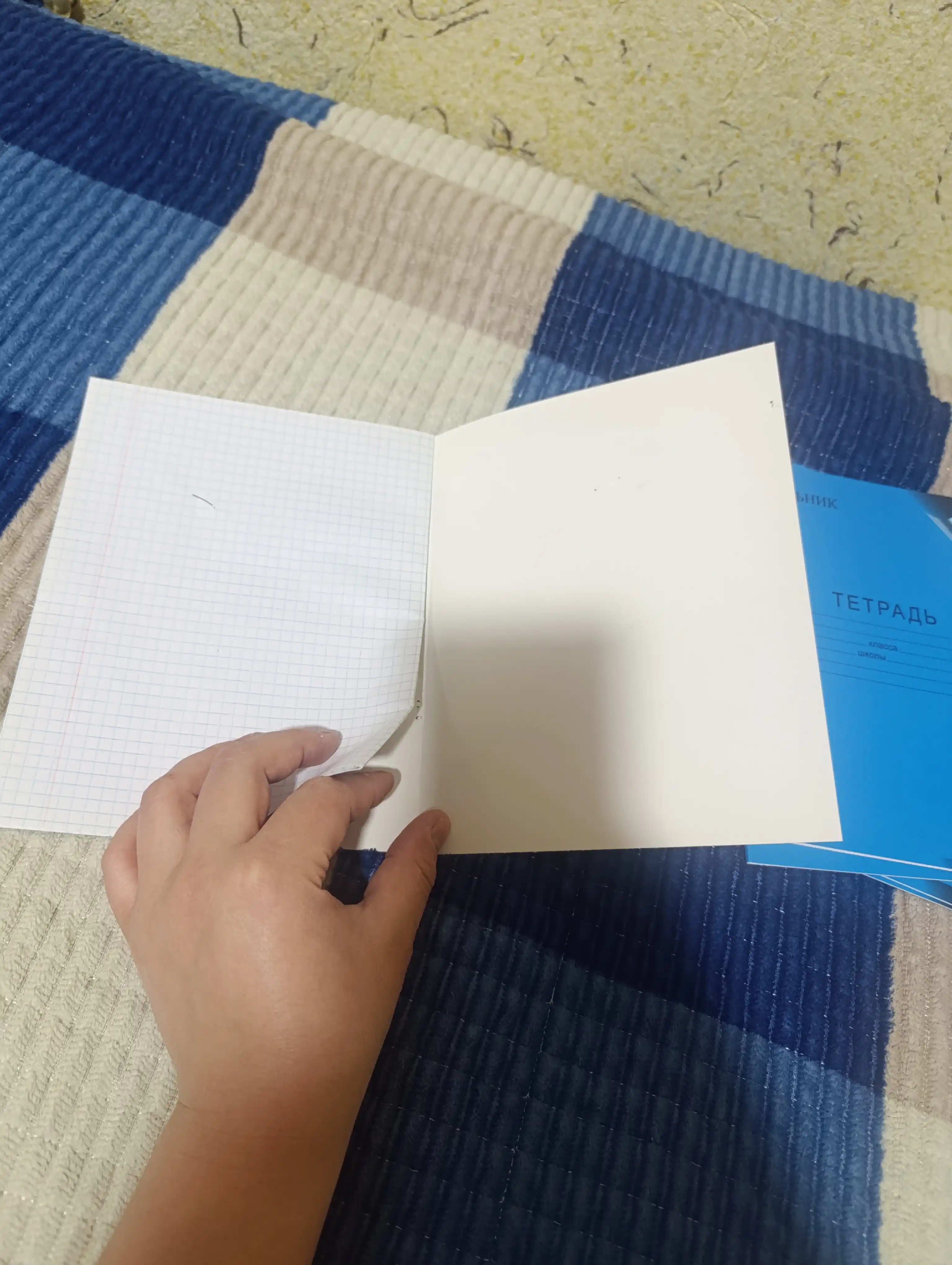 Daftar, 12 varaq, 10 dona, katak, chiziq, ingichka chiziq