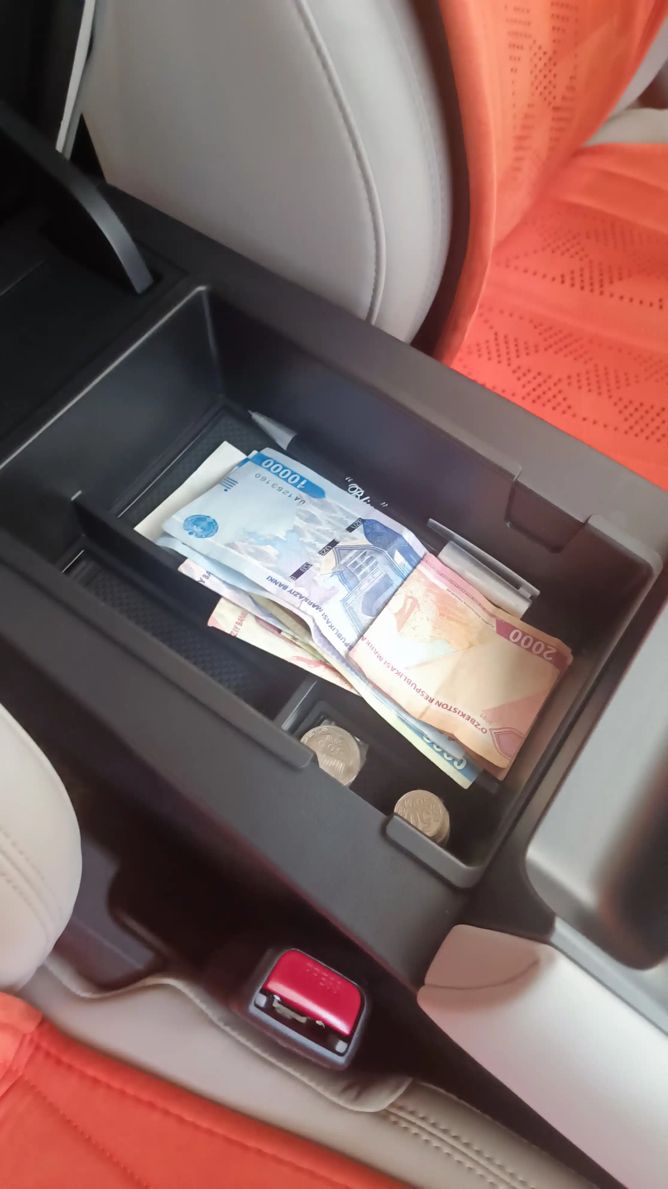 BYD E2/Yuan Up/Yuan Plus/Song Plus/Champion uchun markaziy buyum saqlash organayzeri
