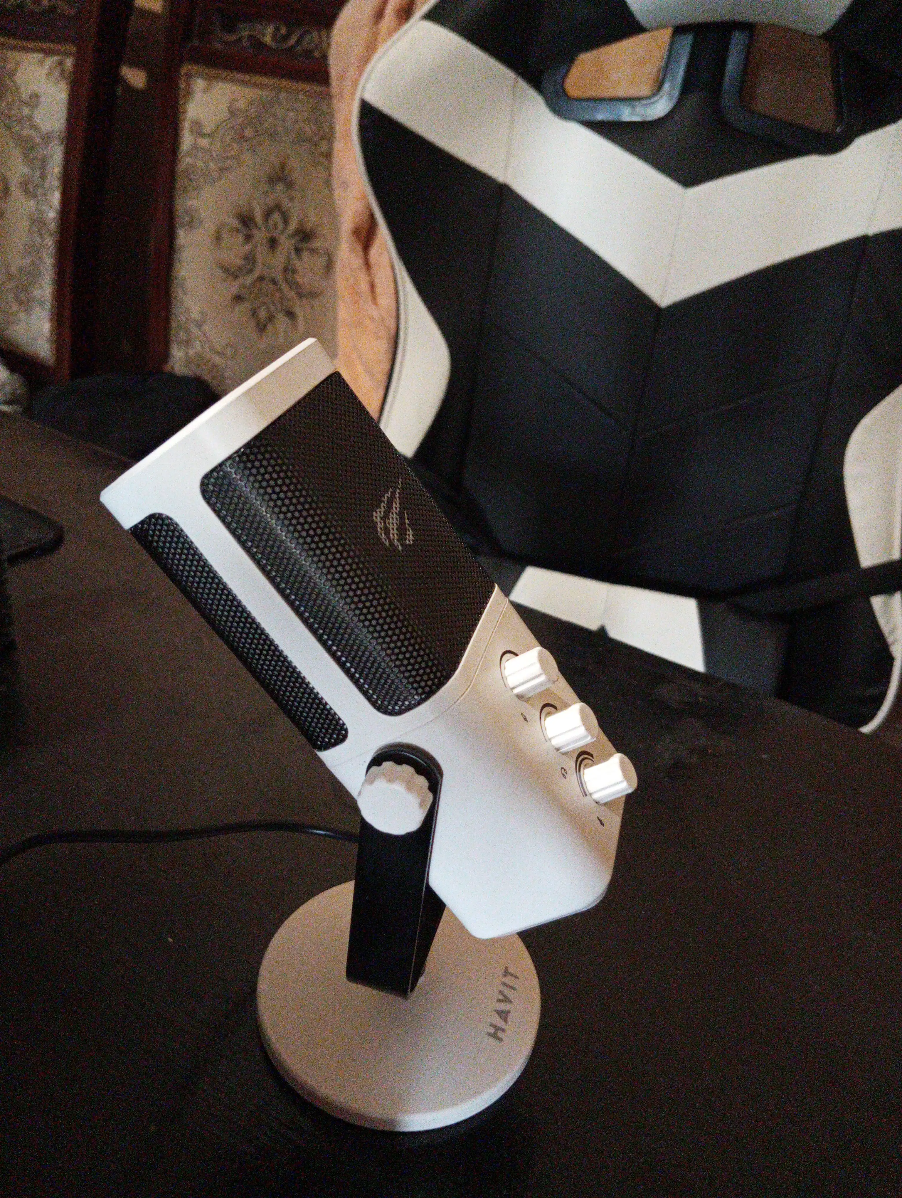 HAVIT GK65 GAMING MIKROFON