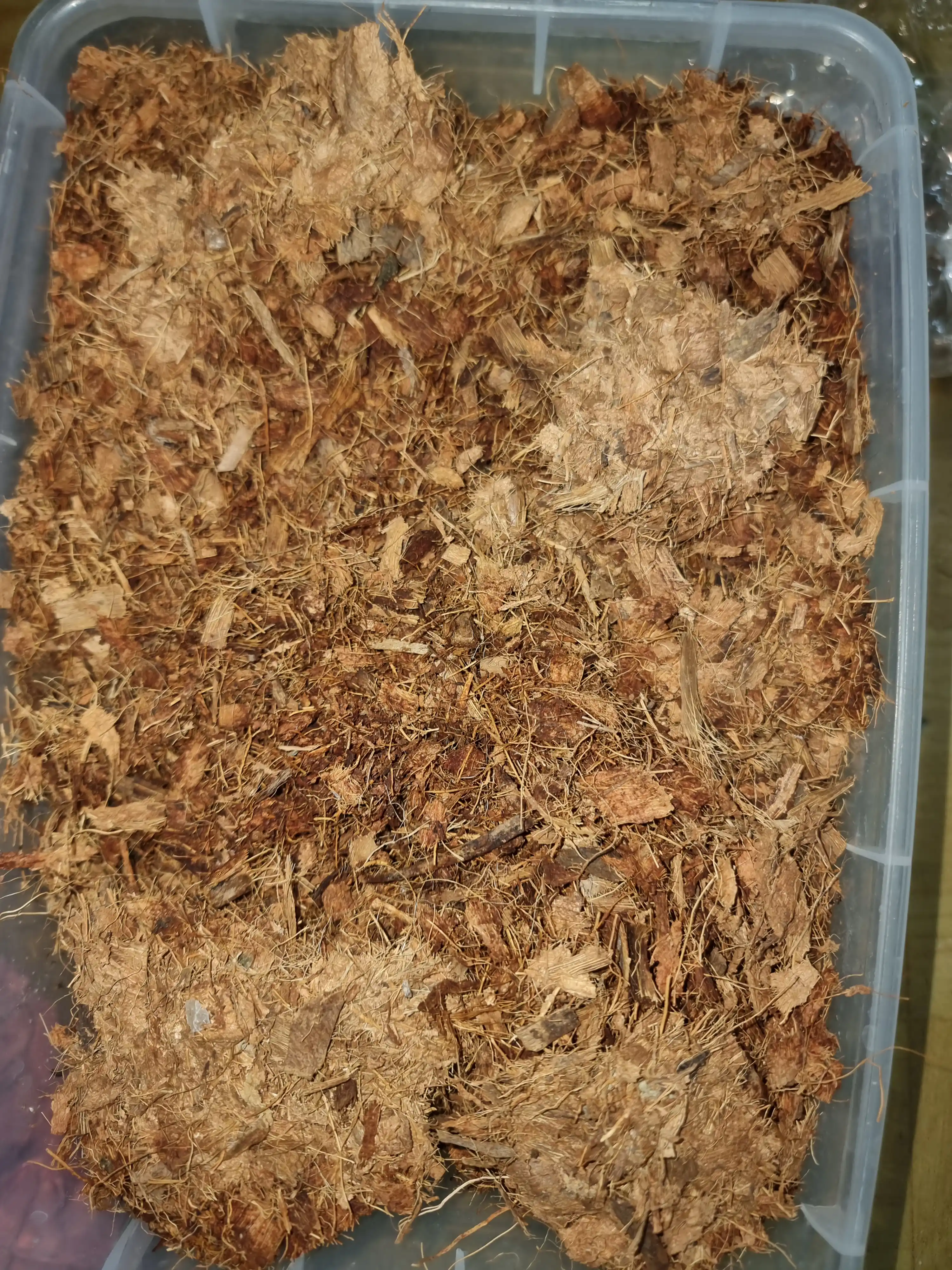 Kokos chipslari Coco Plus preslangan, tabiiy, organik substrati