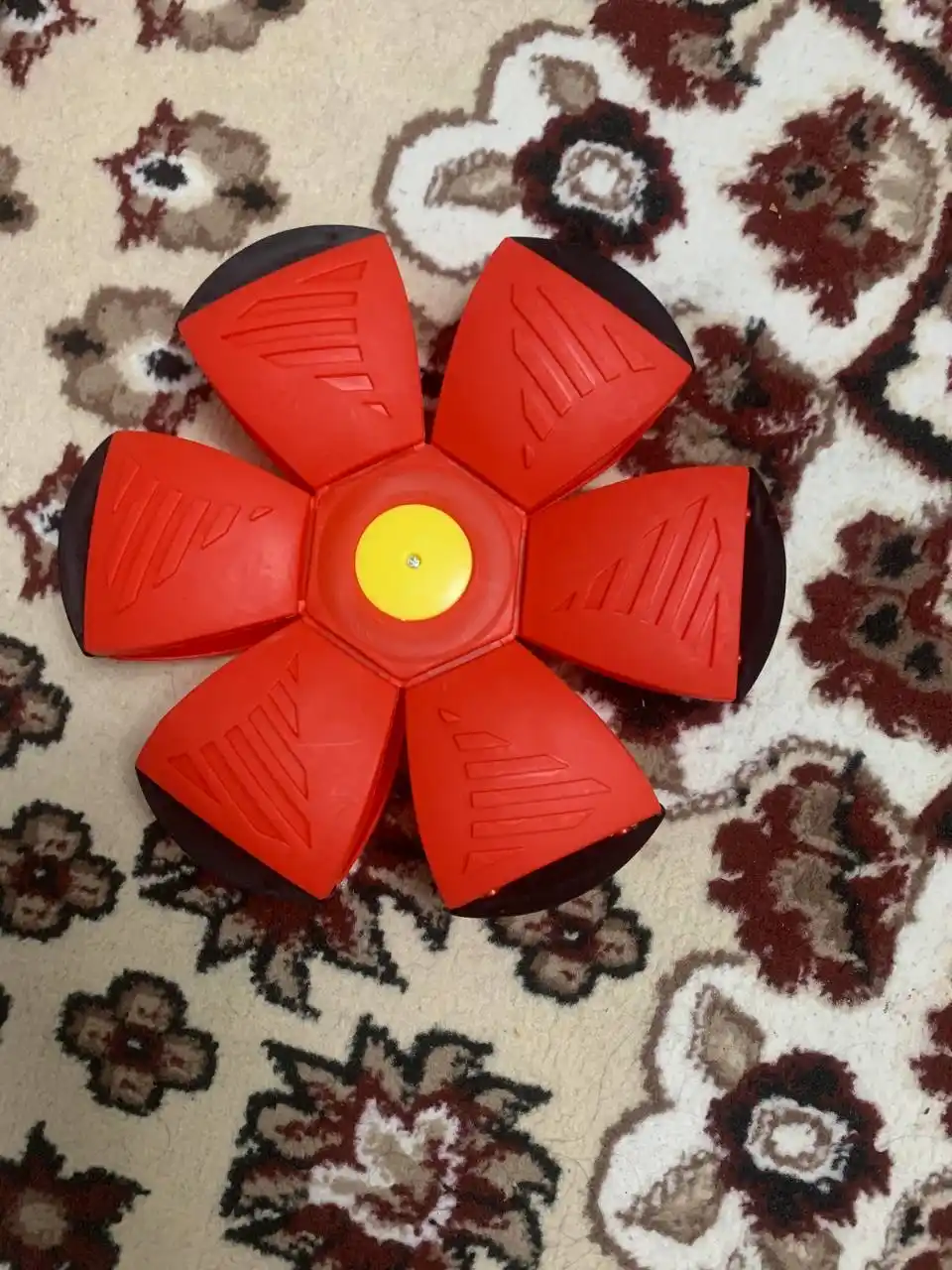 Uchar to'p, transformer, frisbi