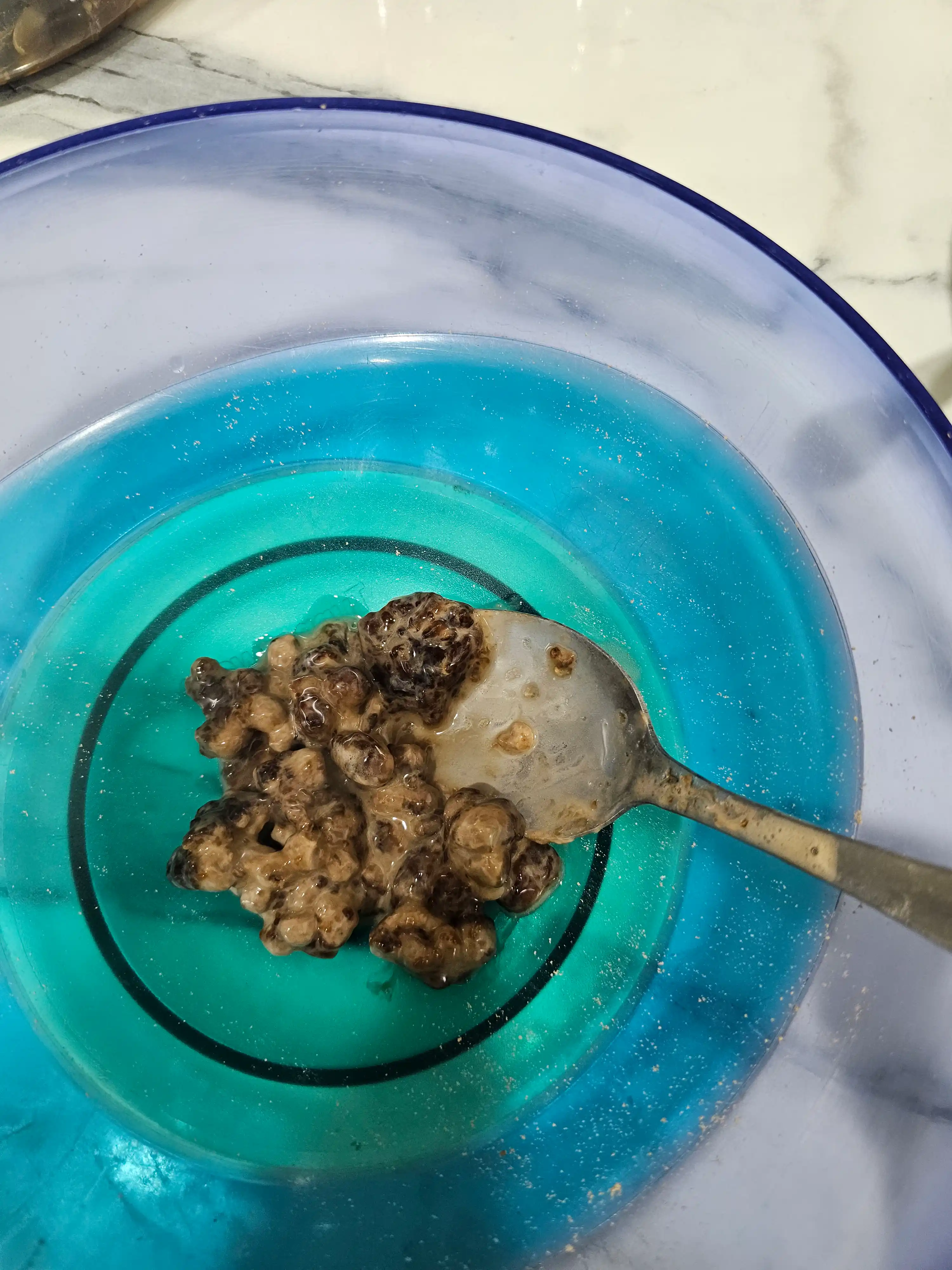 Qora tapioca standart
