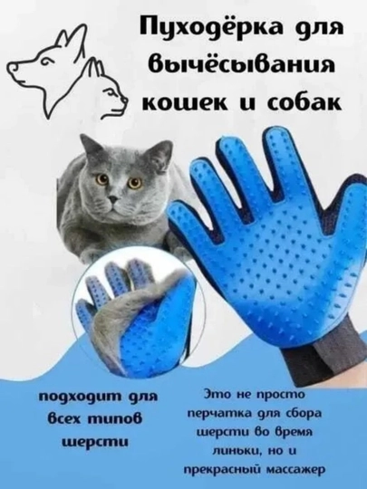 Кошки, собаки в перчатках, против когтей
