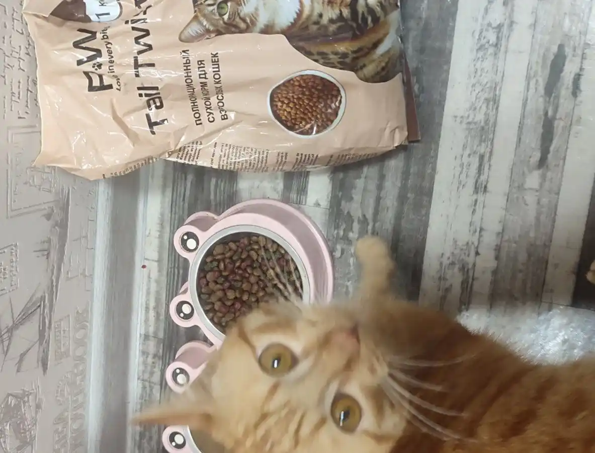 Paw Picks Tail Twist mushuklar uchun quruq yem go‘sht, guruch va sabzavot bilan 1 kg