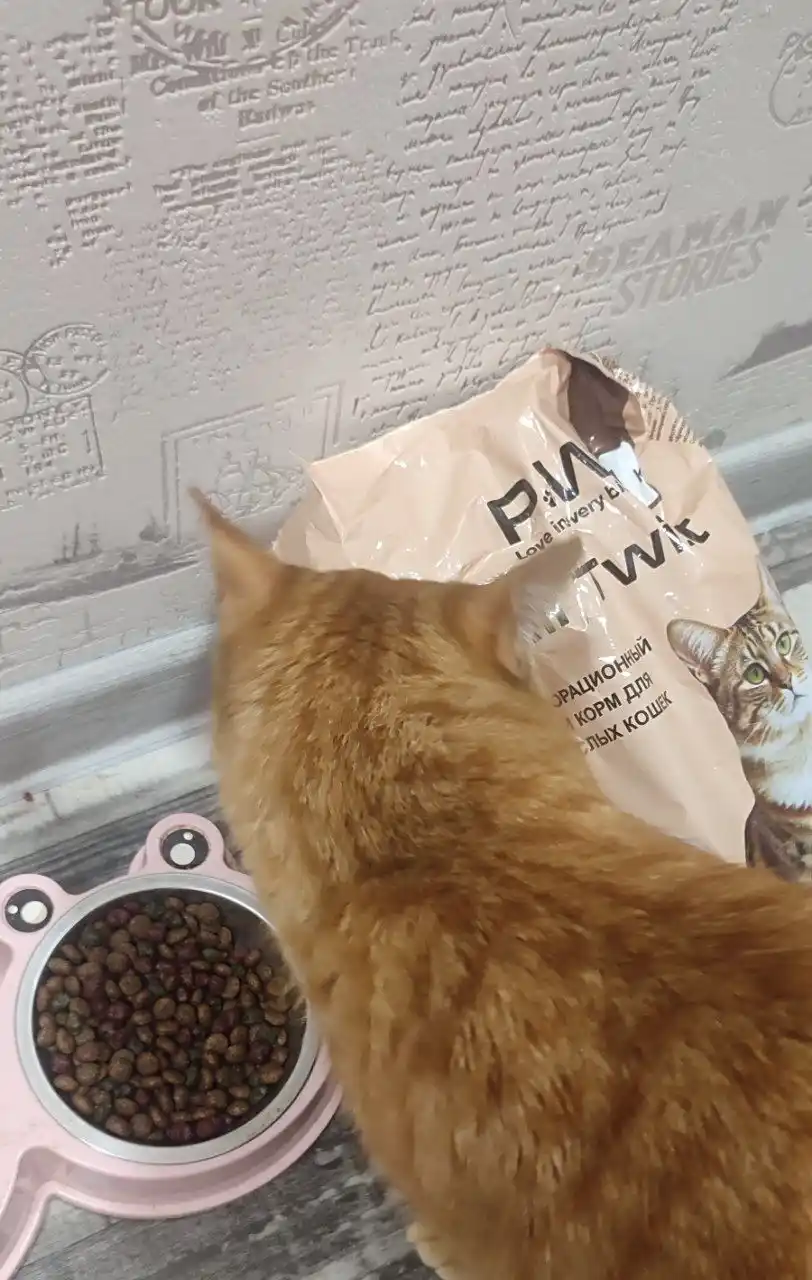 Paw Picks Tail Twist mushuklar uchun quruq yem go‘sht, guruch va sabzavot bilan 1 kg