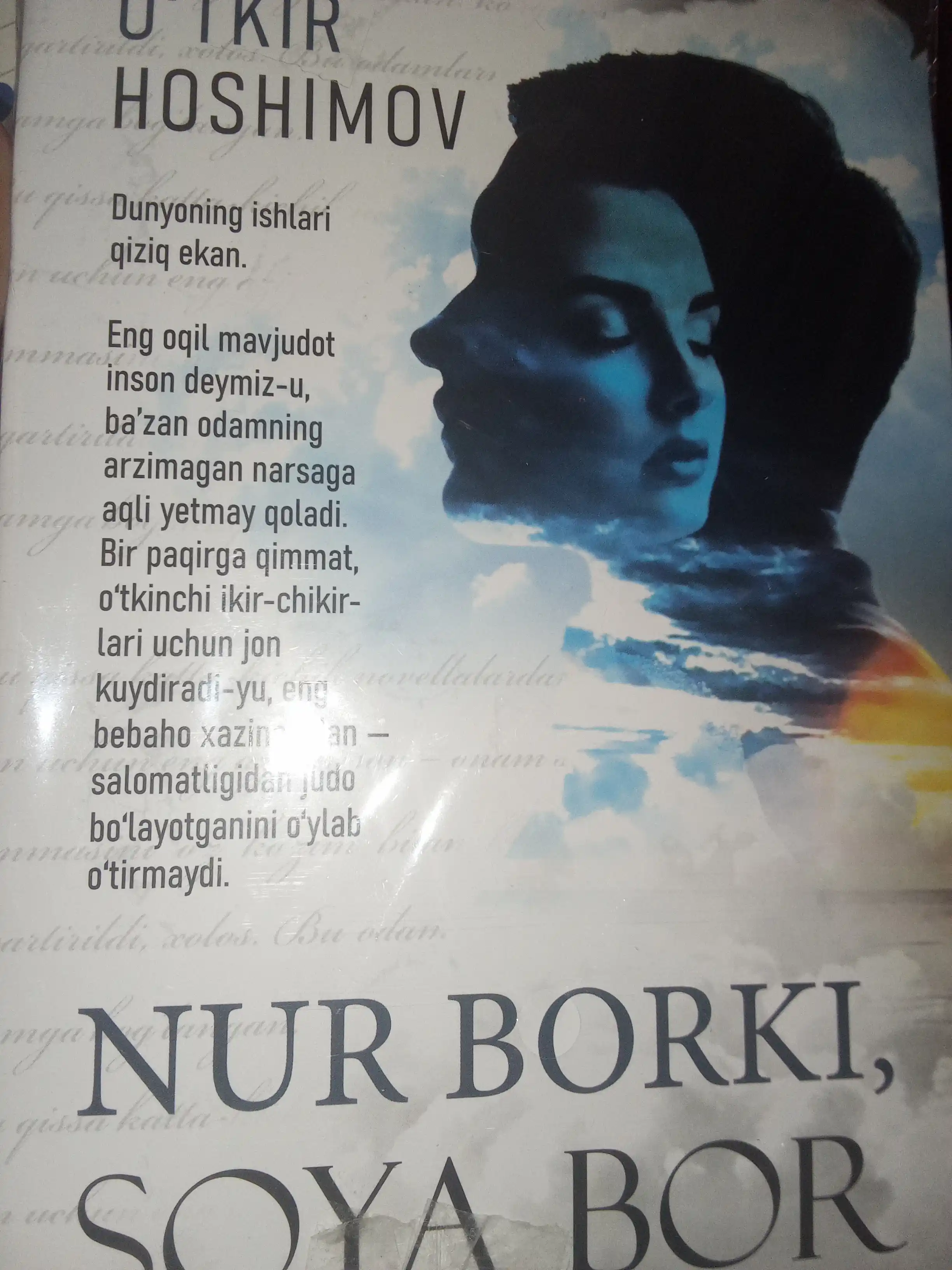 Нур борки, соyа бор