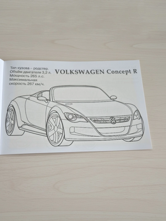 Volkswagen avtomobillari. Rang berish kitobi