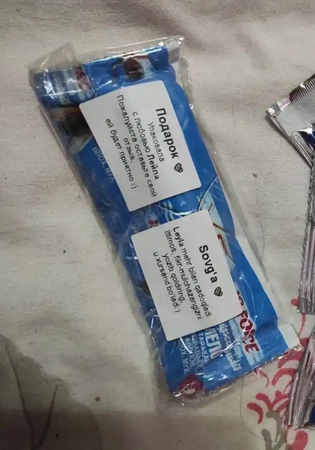Gektor kukuni, 1000 ml, burgalar qandalalar kanalarga klop qarshi Is force