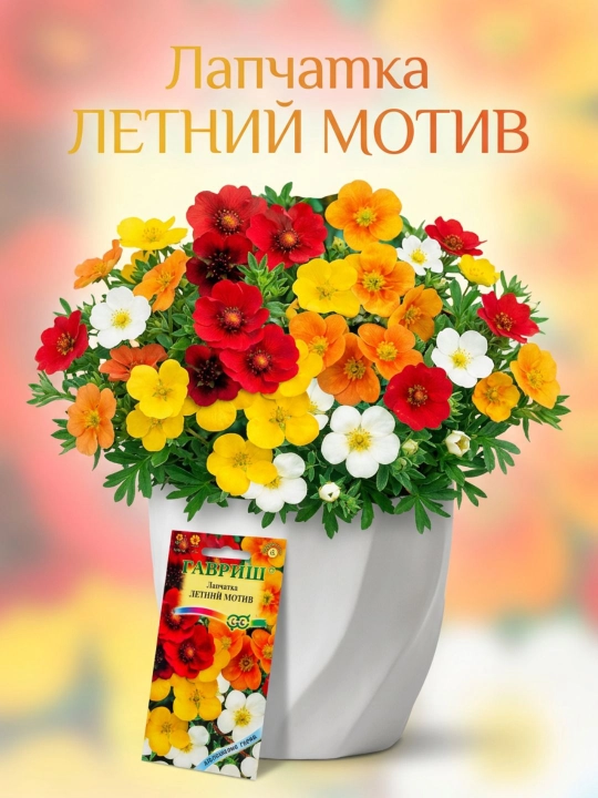 Cinquefoil urug'lari yozgi motif, aralash, 0,01 g, Gavrish, Alp tog'lari 1071857941 - 