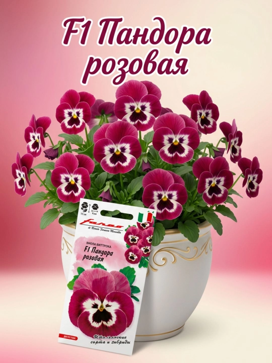Семена Виола розовая F1, виттрока, 5 шт - 