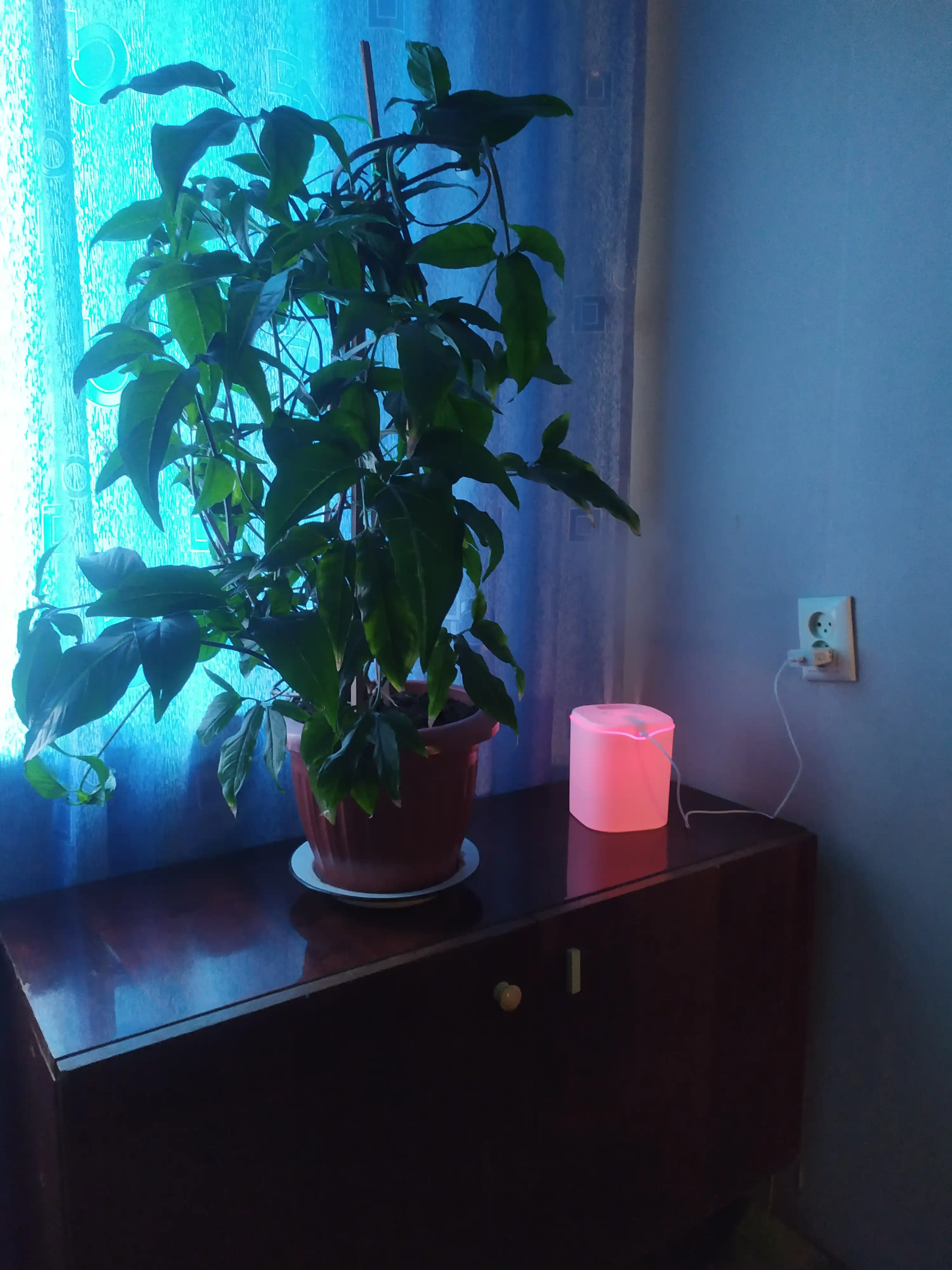 Ультразвуковой увлажнитель воздуха Bliss Home, ночник, аромадиффузор 2 л, для дома и офиса