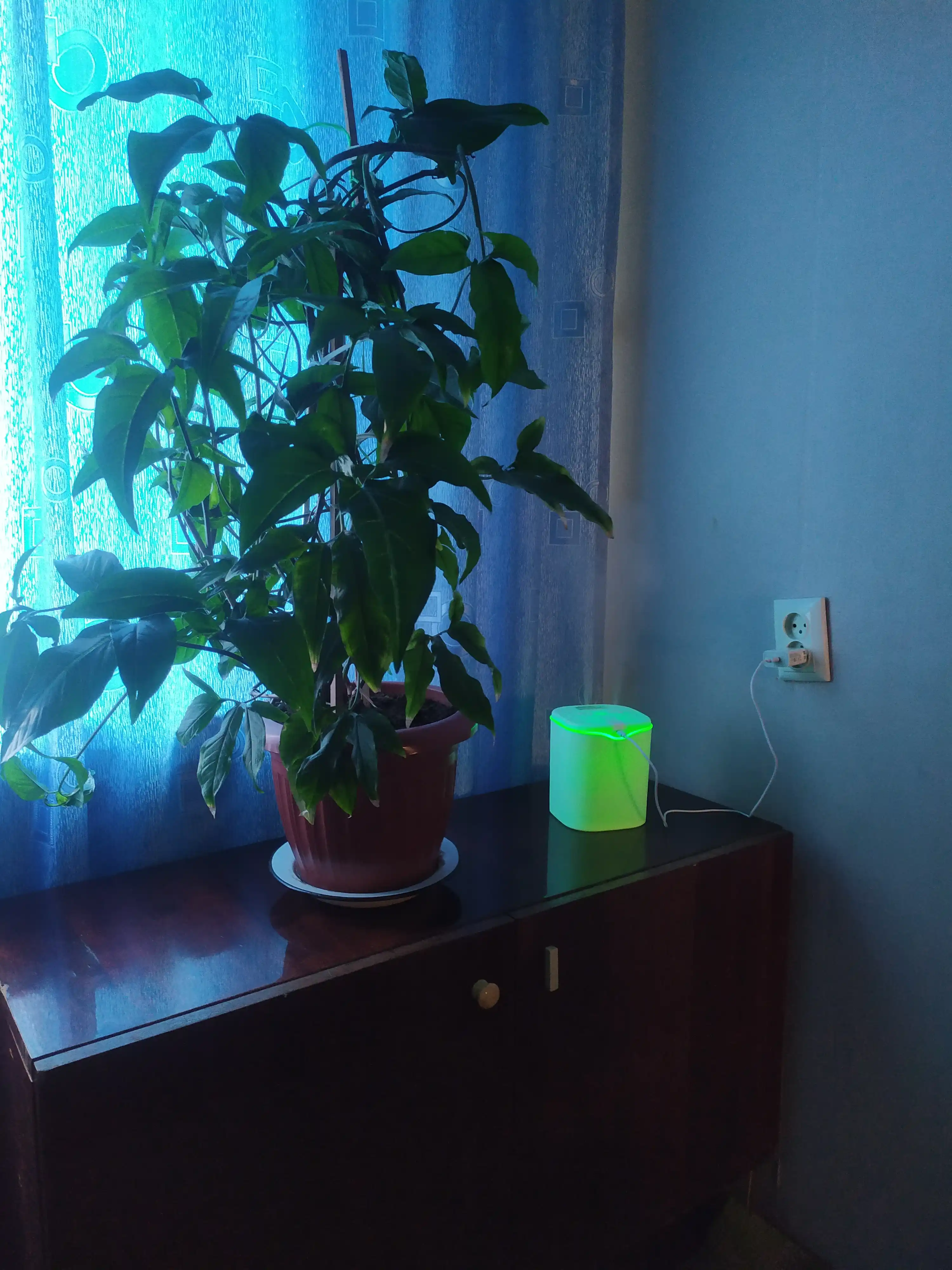 Ультразвуковой увлажнитель воздуха Bliss Home, ночник, аромадиффузор 2 л, для дома и офиса