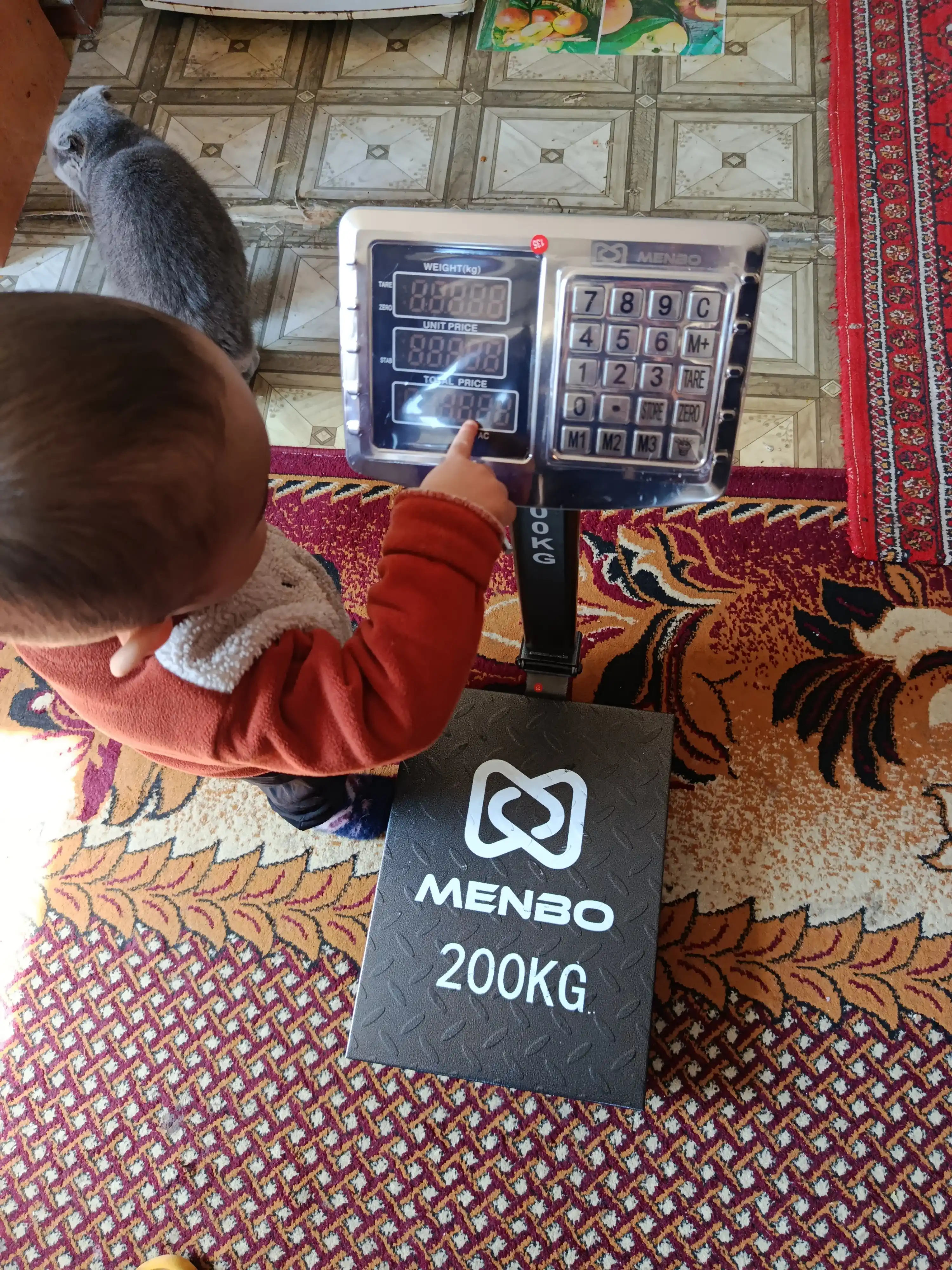 200 kg gacha elektron savdo tarozisi, aniqligi 100 g, stendli pol tarozisi
