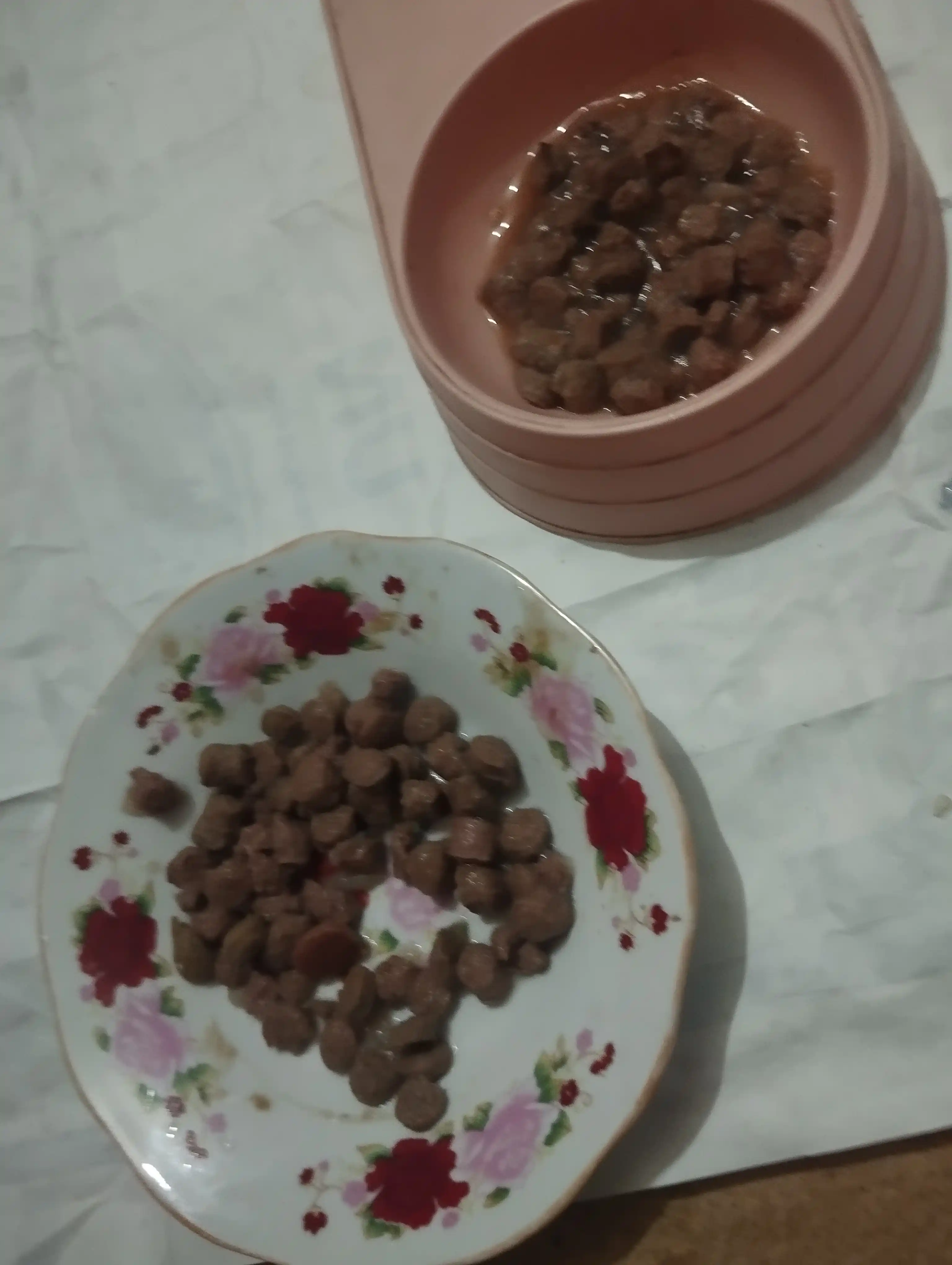 Justin mushuklar uchun nam yem, sousli kurka, 75 gr 28 dona