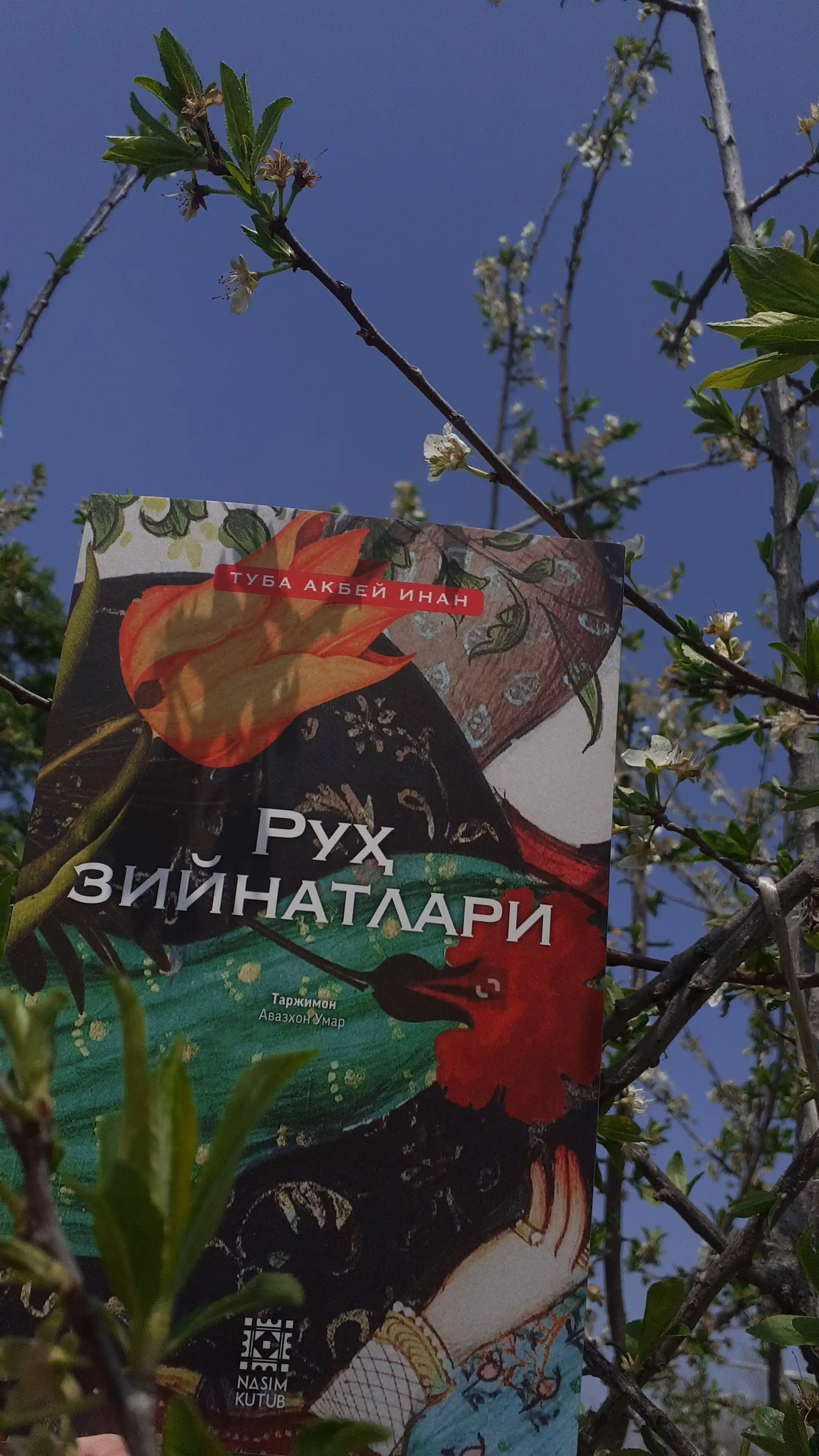Ruh ziynatlari, Tuba Akbey Inan