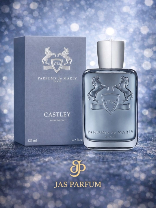 Парфюмерная вода для мужчин, PARFUMS DE MARLY CASTLEY, 125мл  - 