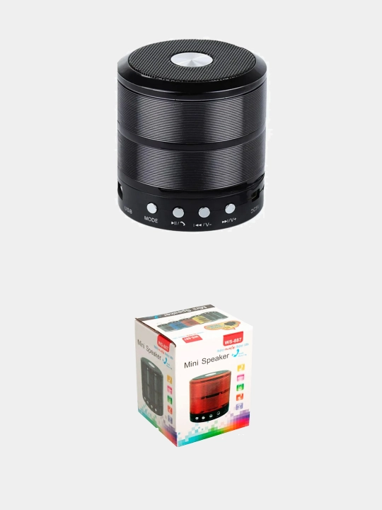 Колонка портативная мини WS887 SD/FM/AUX/USB/Bluetooth , 5W 