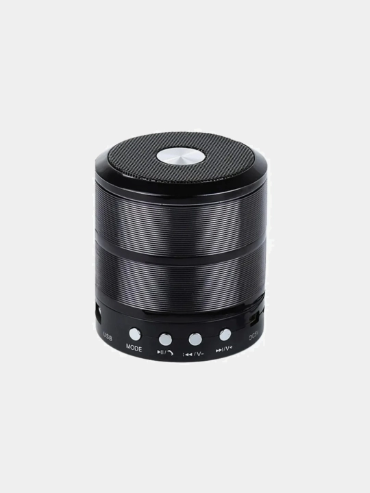 Колонка портативная мини WS887 SD/FM/AUX/USB/Bluetooth , 5W 