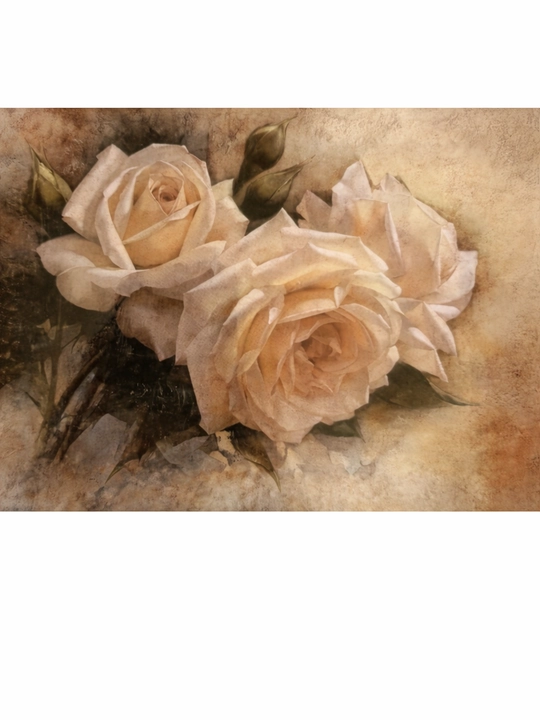 "Oq atirgullar" krestik kashta to‘plami, 93 × 65 sm