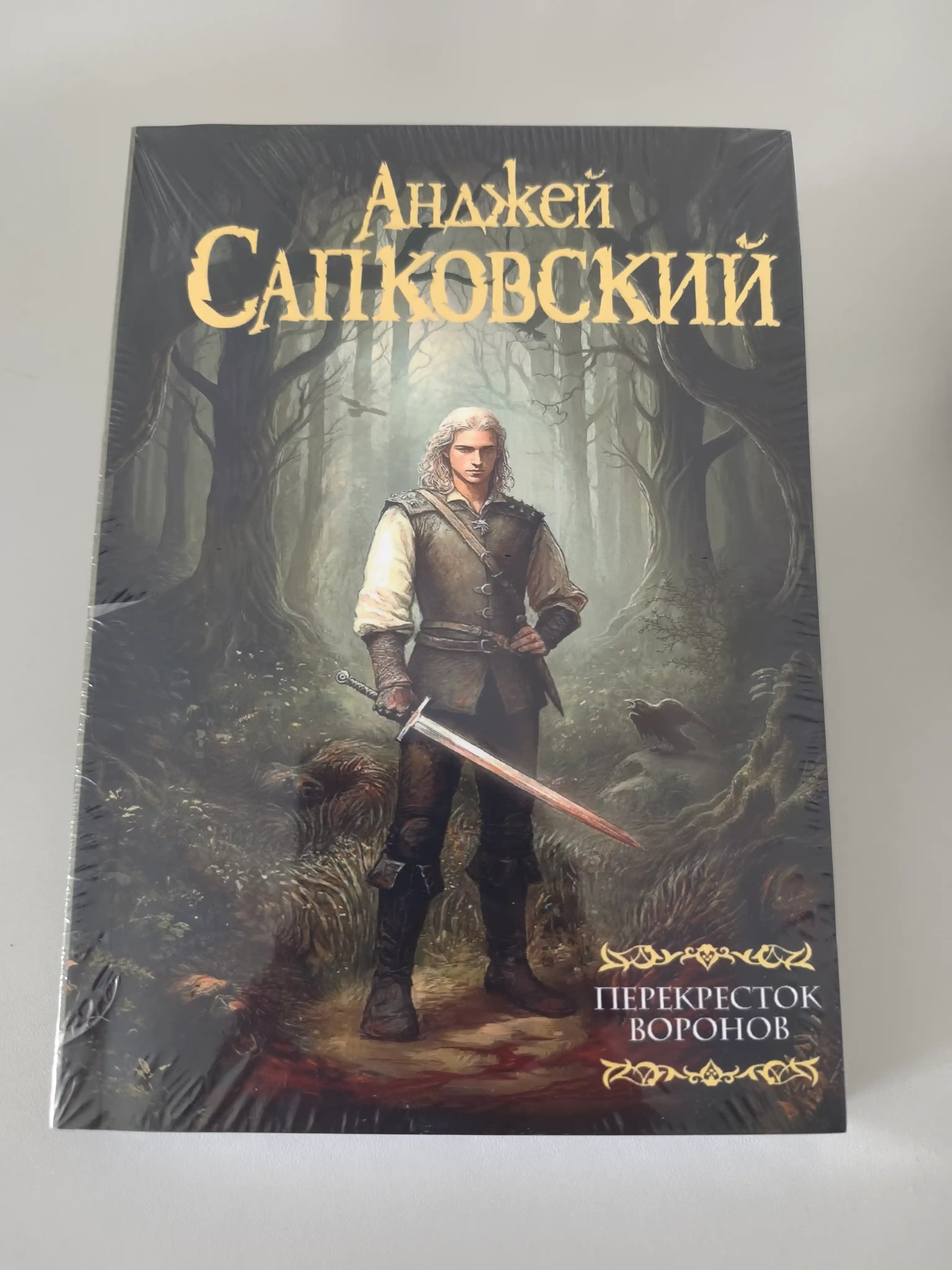 Qarg'alar Chorrahasi, Andjey Sapkovskiy