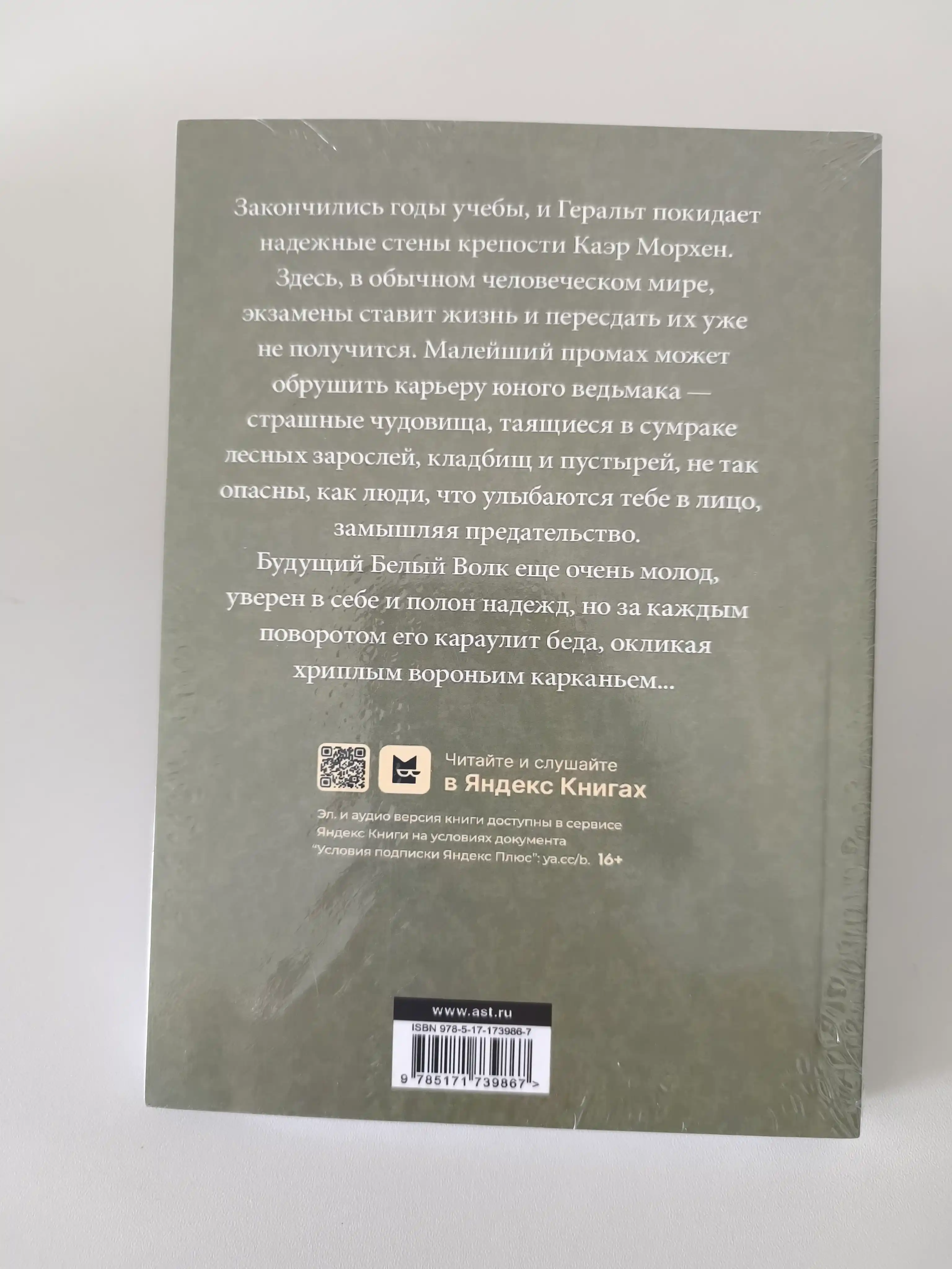 Qarg'alar Chorrahasi, Andjey Sapkovskiy