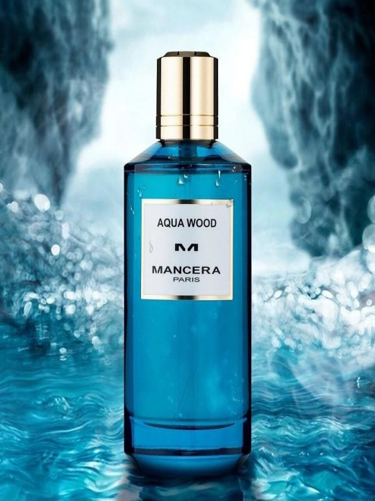 Парфюмерная вода для мужчин, Mancera Aqua Wood, 120 мл, Франция - 