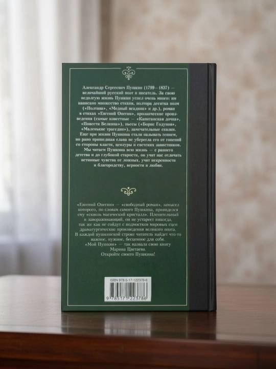 Yevgeniy Onegin. Dramalar. Pushkin Aleksandr Sergeyevich