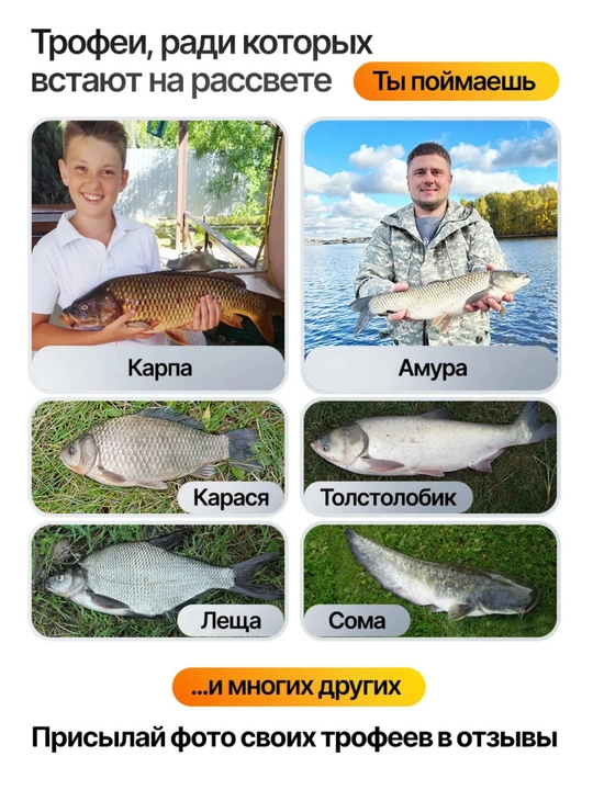 Karpsimon qarmoq