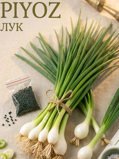 Семена укроп, кинза, лук, редиска — BOGUCUN-JASUR-ЛАЙМ
