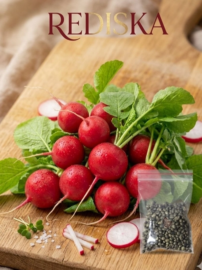 Семена укроп, кинза, лук, редиска — BOGUCUN-JASUR-КРАСН
