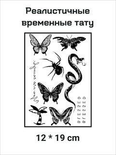 Разноцветный