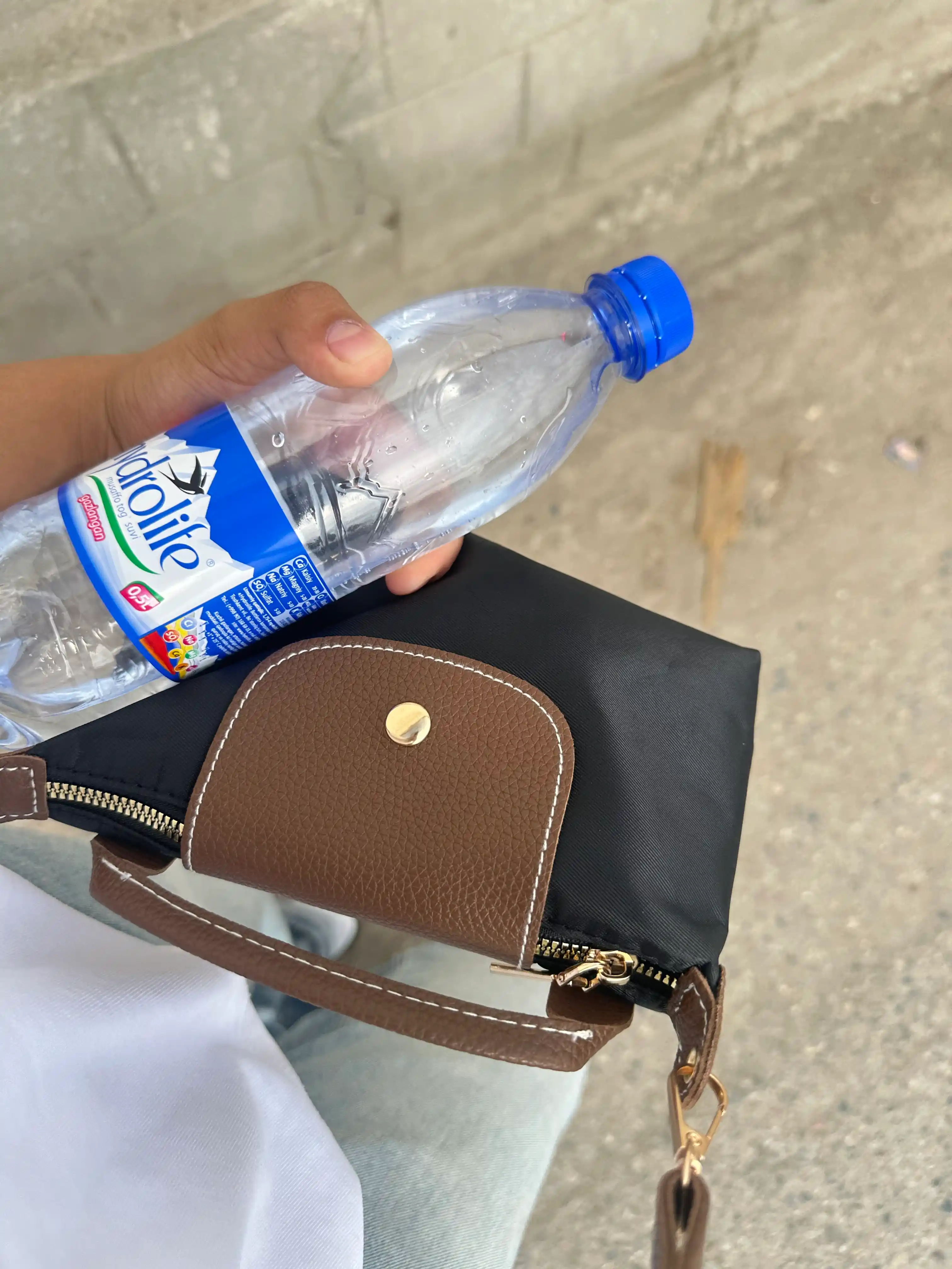 Женская сумка, Longchamp