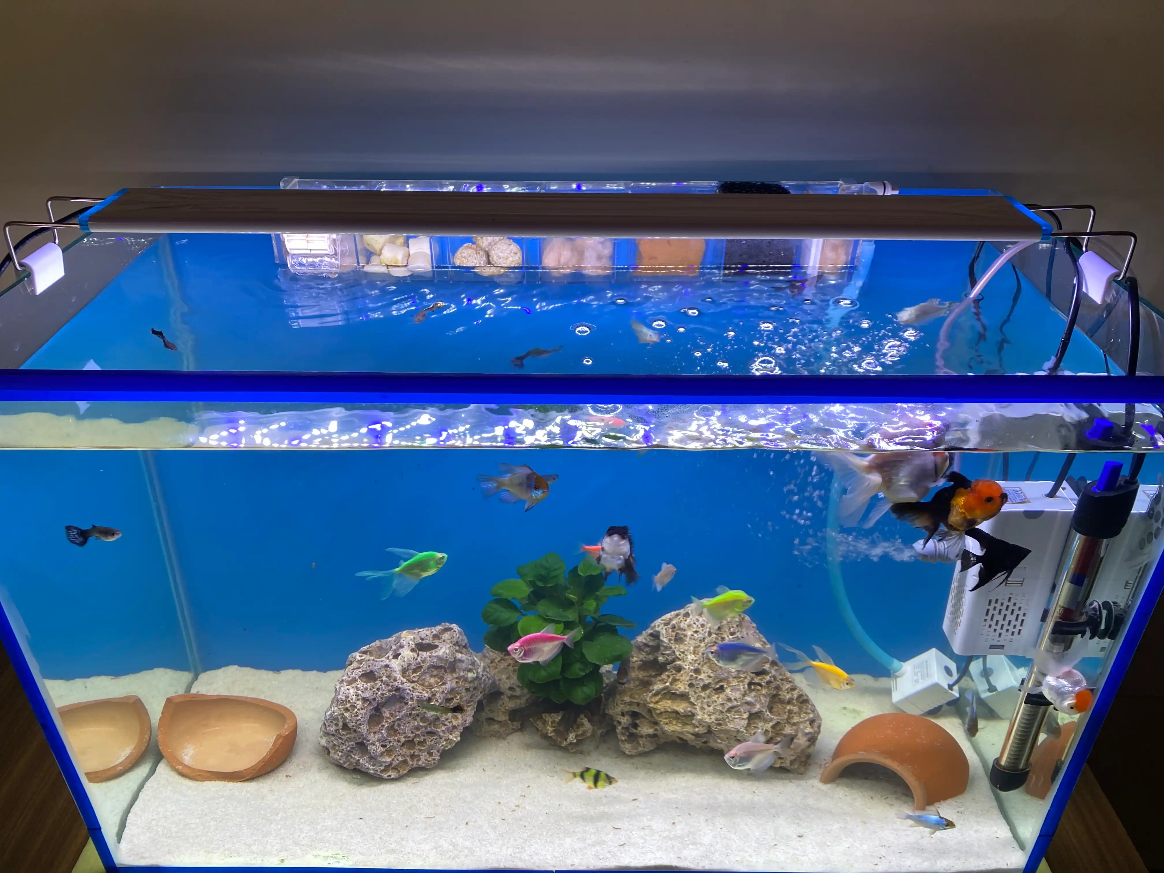 Akvarium uchun kengaytirilgan spektrli svetodiodli chiroq LED-MS, 30, 50 sm