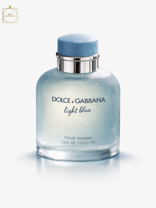 Erkakalar uchun xushbo'ylangan suv Dolce & Gabbana Light Blue pour Homme, 100 ml