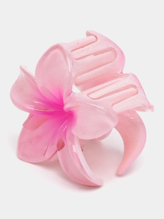 Toʻq pushti