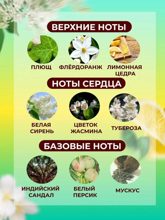 Atir Duxi Lucia ayollar duxisi 50 ml - yumshoq, chidamli va nafis xushbo’y hid